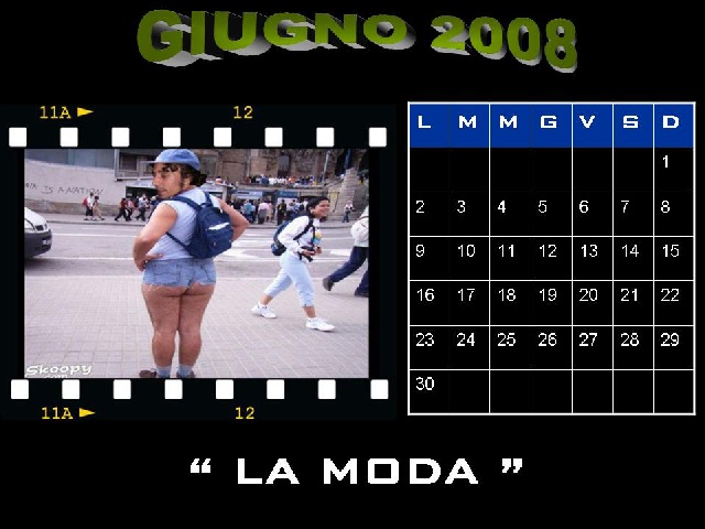 Mr Paloma calendario 2008 - Mr Paloma