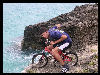 Mr Paloma Foto vostre Guaruch e Middle Finger alle Bermuda