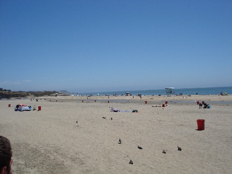 Vivendo il Coast To Coast - Mr Paloma