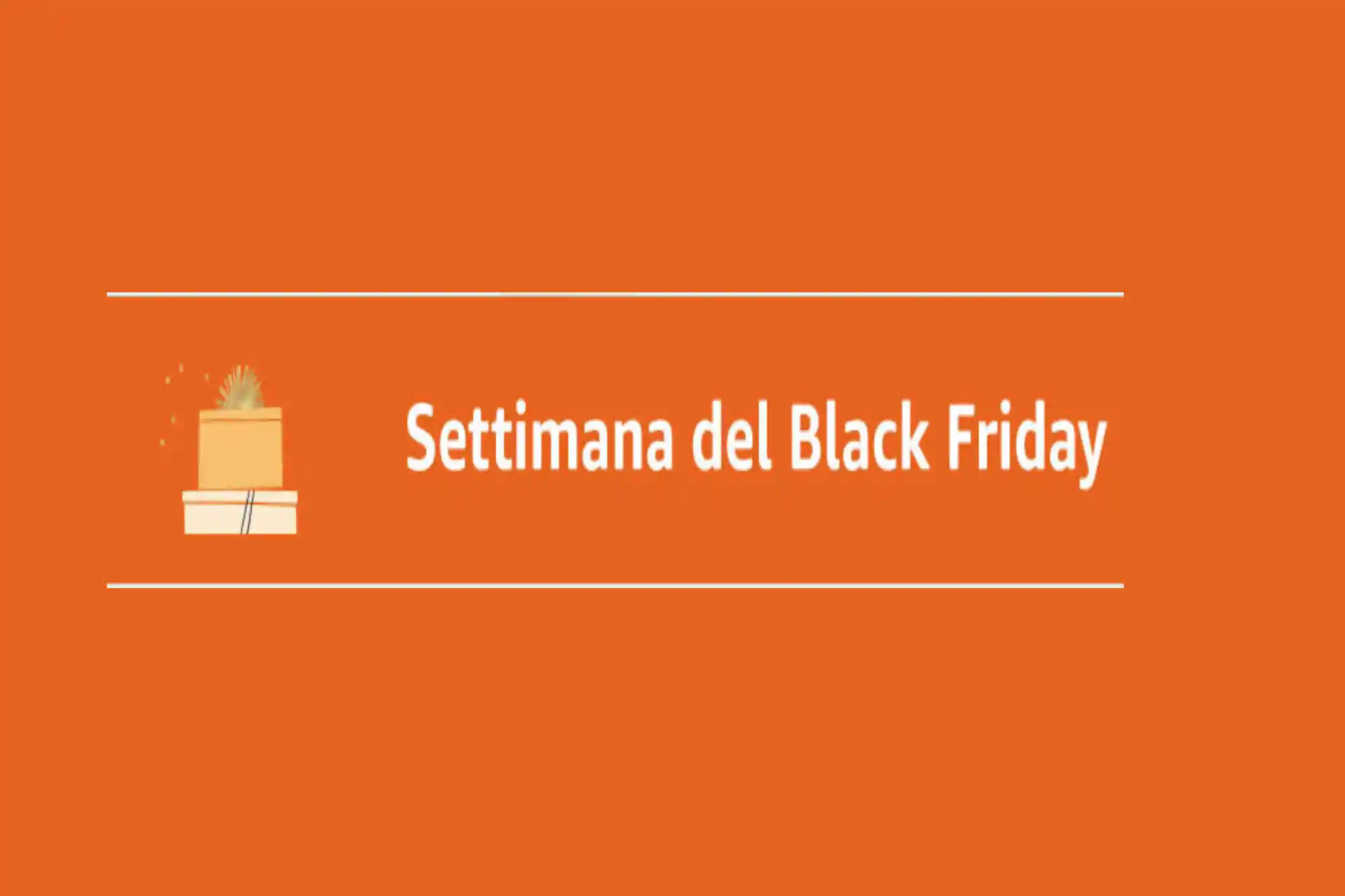 Settimana del Black Friday