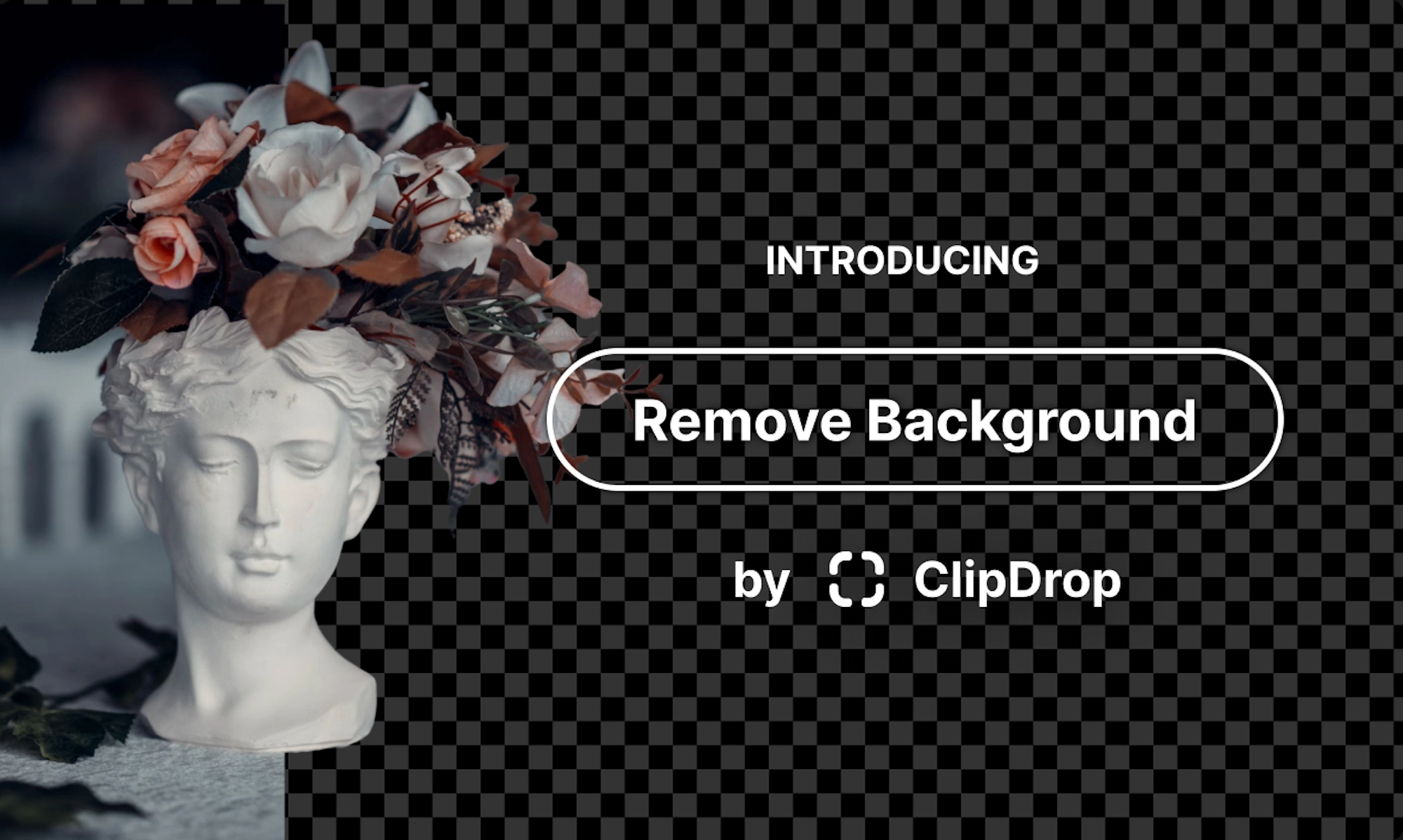ClipDrop Tutorial pratico per la rimozione dello sfondo delle foto in pochi istanti