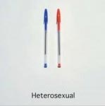Sex Explained By Pens