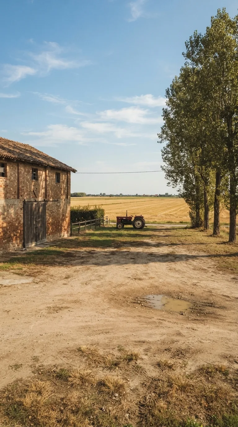 Immagine statica per Flow Veo, YouTube Shorts verticale 9:16, da usare per un timelapse di costruzione. Cortile sterrato compatto di un’azienda agricola di pianura padana. A sinistra un fienile in laterizio a due piani con tetto in coppi bruni e una porta carraia chiusa. A destra un filare di pioppi alti e, più indietro, un trattore rosso fermo sull’erba. Sullo sfondo campi di stoppie dorate e una siepe bassa. In primo piano terra battuta ocra-grigia con orme di pneumatici già esistenti, ciuffi d’erba secca ai margini e una pozza secca poco profonda. Inquadratura verticale fissa, prospettiva obliqua a livello d’uomo da circa 22 metri, con lo slargo centrale nel terzo inferiore del fotogramma e cielo nel terzo superiore. Luce pomeridiana chiara proveniente da destra, cielo azzurro con nubi sottili, color grading naturale leggermente caldo, senza testo, loghi o watermark.