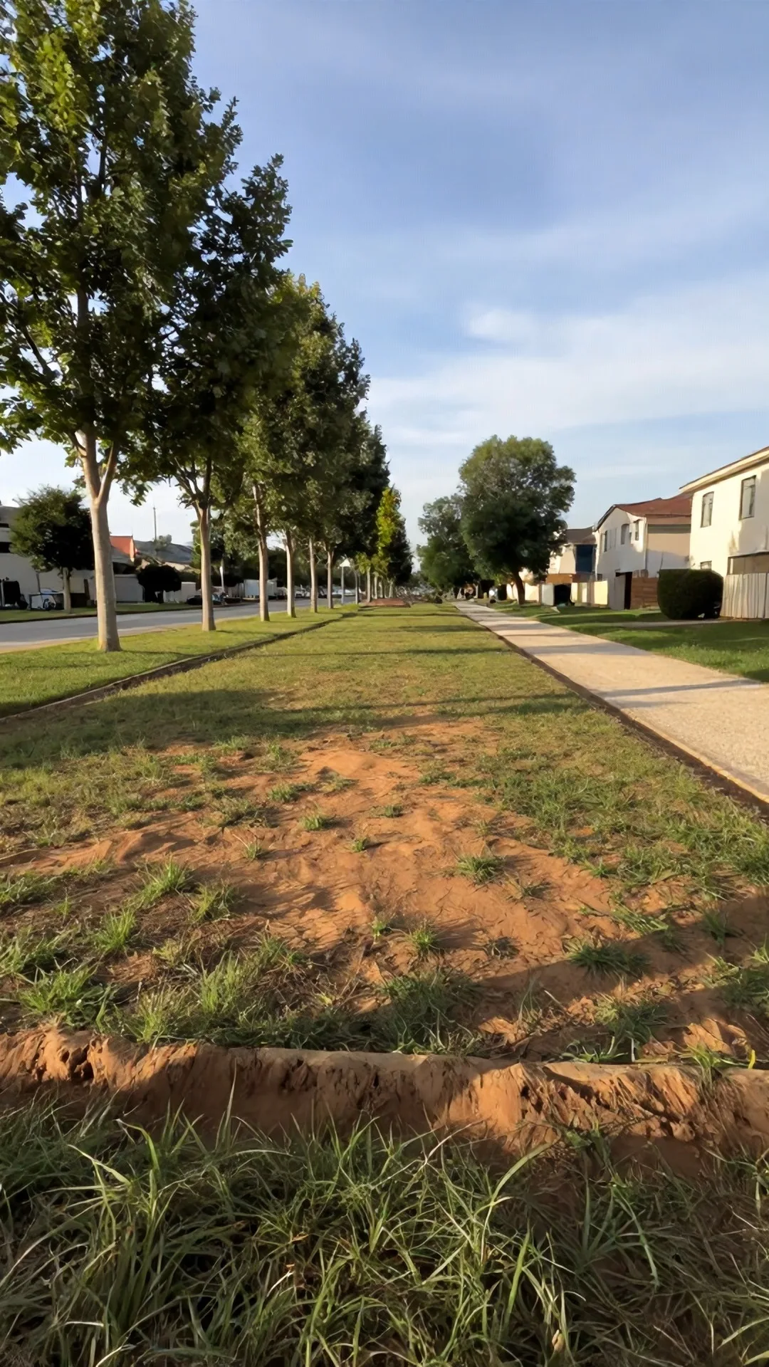 Immagine statica per YouTube Shorts verticale 9:16, da usare in un timelapse di costruzione. Parco di quartiere di pianura in una giornata pomeridiana limpida. Camera fissa a circa 2 metri dal suolo, prospettiva obliqua a livello d’uomo da circa 16 metri dallo slargo centrale, orizzonte a un terzo dall’alto. In primo piano erba bassa e un bordo di terra battuta; al centro uno slargo erboso livellato largo circa 14 metri e profondo 10 metri, con erba rada e terra compatta ocra; a sinistra un filare di platani adulti con foglie verdi e tronchi grigi; a destra un sentiero in ghiaia chiara che corre verso il fondo; sullo sfondo palazzine residenziali basse intonacate e un tratto di cielo azzurro con nubi sottili. Luce naturale da sinistra-alto, ombre di contatto nette e corte, color grading fotografico naturale leggermente caldo, profondità di campo sufficiente a leggere alberi, sentiero e facciate. Nessun mezzo, nessuna persona, nessuna struttura al centro dello slargo.
