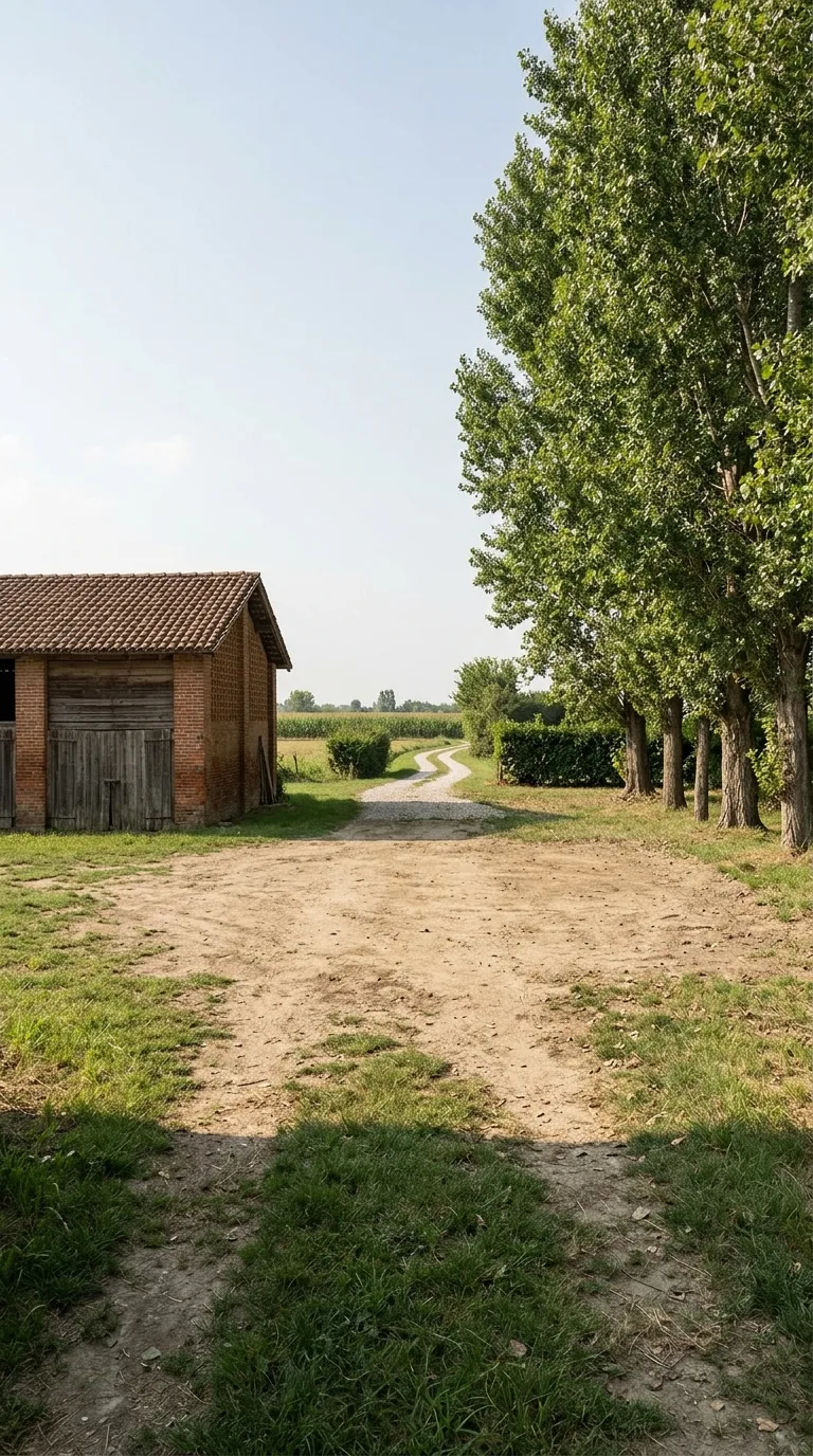 Immagine statica per un YouTube Shorts verticale in formato 9:16 destinata a un timelapse di costruzione. Camera fissa ad altezza occhi, prospettiva frontale con margine attorno all'area centrale, orizzonte a metà altezza. Cortile rurale di pianura con aia centrale in terra battuta, erba ai bordi, a sinistra un fienile in laterizio a un piano con tetto a due falde, a destra un filare di pioppi adulti, un sentiero in ghiaia nello sfondo. Luce naturale diurna da sinistra, cielo sereno, ombre di contatto morbide, color grading fotografico naturale. L'area centrale è libera, superficie in terra battuta con erba intorno, percorsi visibili.