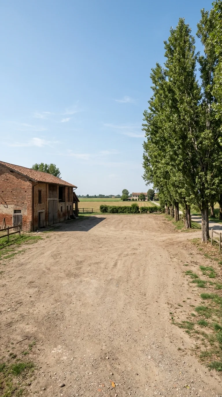 Single static vertical 9:16 image for a construction timelapse, fixed eye-level camera slightly tilted downward framing a wide dirt farmyard in the plain. On the left of the frame a brick barn with tiled roof and wooden door; on the right a row of mature poplar trees. The central ground is a clear, uniform area of packed earth and fine gravel, free of constructions, with a few sparse grass tufts at the edges. Natural daytime light, sun high on the right, soft shadows, clear light-blue sky, realistic photographic rendering.